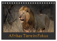 Afrikas Tiere im Fokus (Tischkalender 2025 DIN A5 quer), CALVENDO Monatskalender