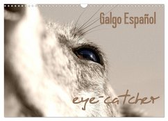 Galgo eye-catcher (Wandkalender 2025 DIN A3 quer), CALVENDO Monatskalender - Calvendo;Redecker, Andrea