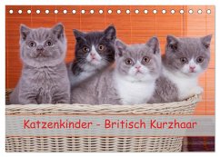 Katzenkinder Britisch Kurzhaar (Tischkalender 2025 DIN A5 quer), CALVENDO Monatskalender