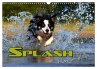 SPLASH - Hunde im Wasser (Wandkalender... - Bild 1