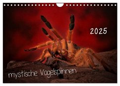 Mystische Vogelspinnen (Wandkalender 2025 DIN A4 quer), CALVENDO Monatskalender