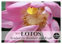 Lotos. Symbol für Reinheit und Kraft (Wandkalender 2025 DIN A3 quer), CALVENDO Monatskalender