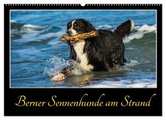 Berner Sennenhunde am Strand (Wandkalender 2025 DIN A2 quer), CALVENDO Monatskalender