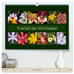 Vielfalt der Orchideen (hochwertiger Premium Wandkalender 2025 DIN A2 quer), Kunstdruck in Hochglanz