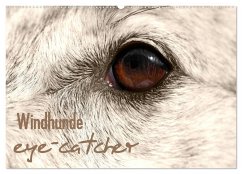 Windhunde eye-catcher (Wandkalender 2025 DIN A2 quer), CALVENDO Monatskalender - Calvendo;Redecker, Andrea