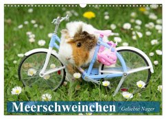 Meerschweinchen. Geliebte Nager (Wandkalender 2025 DIN A3 quer), CALVENDO Monatskalender - Calvendo;Stanzer, Elisabeth