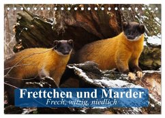 Frettchen und Marder. Frech, witzig, niedlich (Tischkalender 2025 DIN A5 quer), CALVENDO Monatskalender