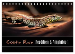 Costa Rica - Reptilien und Amphibien (Tischkalender 2025 DIN A5 quer), CALVENDO Monatskalender