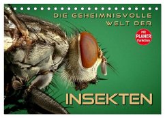 Die geheimnisvolle Welt der Insekten (Tischkalender 2025 DIN A5 quer), CALVENDO Monatskalender