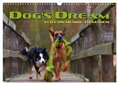 DOG'S DREAM - wovon Hunde träumen (Wandkalender 2025 DIN A3 quer), CALVENDO Monatskalender