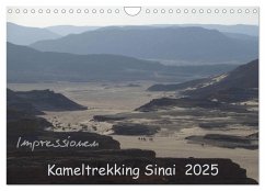 Impressionen Kameltrekking Sinai 2025 (Wandkalender 2025 DIN A4 quer), CALVENDO Monatskalender - Calvendo;Wesselak, Mucki