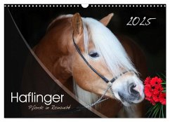 Haflinger-Pferde in Reinzucht (Wandkalender 2025 DIN A3 quer), CALVENDO Monatskalender - Calvendo;Natural-Golden.de