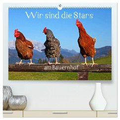 Wir sind die Stars am Bauernhof (hochwertiger Premium Wandkalender 2025 DIN A2 quer), Kunstdruck in Hochglanz - Calvendo;Kramer, Christa