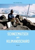 Schneematsch am Kilimandscharo