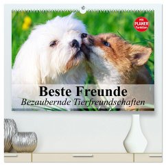 Beste Freunde. Bezaubernde Tierfreundschaften (hochwertiger Premium Wandkalender 2025 DIN A2 quer), Kunstdruck in Hochglanz