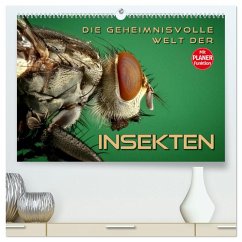 Die geheimnisvolle Welt der Insekten (hochwertiger Premium Wandkalender 2025 DIN A2 quer), Kunstdruck in Hochglanz - Calvendo;Bleicher, Renate