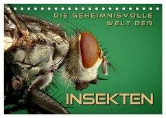 Die geheimnisvolle Welt der Insekten (Tischkalender 2025 DIN A5 quer), CALVENDO Monatskalender - Calvendo;Bleicher, Renate