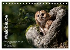 Waldkäuze, fotografiert in München (Tischkalender 2025 DIN A5 quer), CALVENDO Monatskalender