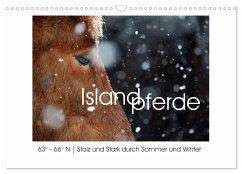 Islandpferde - Stolz und Stark durch Sommer und Winter (Wandkalender 2025 DIN A3 quer), CALVENDO Monatskalender