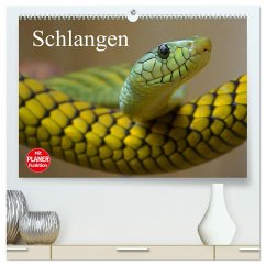 Schlangen (hochwertiger Premium Wandkalender 2025 DIN A2 quer), Kunstdruck in Hochglanz