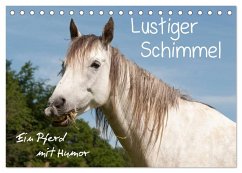 Lustiger Schimmel - ein Pferd mit Humor (Tischkalender 2025 DIN A5 quer), CALVENDO Monatskalender - Calvendo;Bölts, Meike