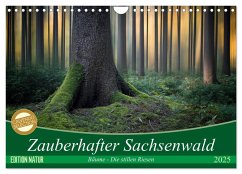 Zauberhafter Sachsenwald (Wandkalender 2025 DIN A4 quer), CALVENDO Monatskalender