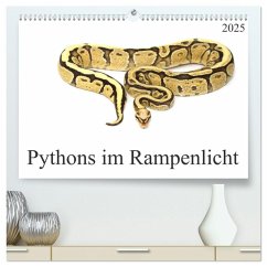 Pythons im Rampenlicht (hochwertiger Premium Wandkalender 2025 DIN A2 quer), Kunstdruck in Hochglanz - Calvendo;Schnellewelten