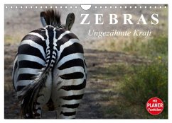 Zebras - Ungezähmte Kraft (Wandkalender 2025 DIN A4 quer), CALVENDO Monatskalender