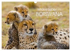 Wildes Leben in Botswana (Wandkalender 2025 DIN A3 quer), CALVENDO Monatskalender