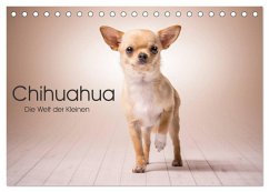 Chihuahua - Die Welt der Kleinen (Tischkalender 2025 DIN A5 quer), CALVENDO Monatskalender