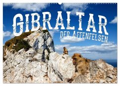 Gibraltar - der Affenfelsen (Wandkalender 2025 DIN A2 quer), CALVENDO Monatskalender