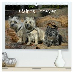 Cairns Forever (hochwertiger Premium Wandkalender 2025 DIN A2 quer), Kunstdruck in Hochglanz - Calvendo;Homwico