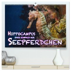 Hippocampus oder einfach nur Seepferdchen (hochwertiger Premium Wandkalender 2025 DIN A2 quer), Kunstdruck in Hochglanz - Calvendo;Gödecke, Dieter