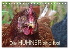 Die Hühner sind los! (Tischkalender 2025 DIN A5 quer), CALVENDO Monatskalender
