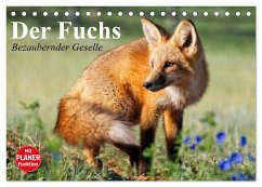 Der Fuchs. Bezaubernder Geselle (Tischkalender 2025 DIN A5 quer), CALVENDO Monatskalender