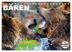 Bären (Tischkalender 2025 DIN A5 quer), CALVENDO Monatskalender