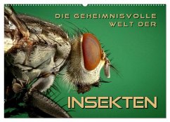 Die geheimnisvolle Welt der Insekten (Wandkalender 2025 DIN A2 quer), CALVENDO Monatskalender