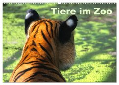 Tiere im Zoo (Wandkalender 2025 DIN A2 quer), CALVENDO Monatskalender