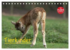 Tierkinder (Tischkalender 2025 DIN A5 quer), CALVENDO Monatskalender