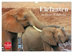 Elefanten in freier Wildbahn (Wandkalender 2025 DIN A3 quer), CALVENDO Monatskalender