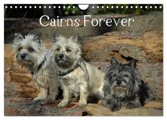 Cairns Forever (Wandkalender 2025 DIN A4 quer), CALVENDO Monatskalender - Calvendo;Homwico