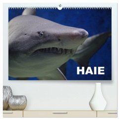 Haie (hochwertiger Premium Wandkalender 2025 DIN A2 quer), Kunstdruck in Hochglanz