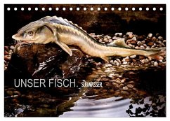 UNSER FISCH. SÜßWASSER. (Tischkalender 2025 DIN A5 quer), CALVENDO Monatskalender - Calvendo;morgenstern, arne