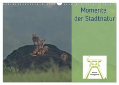 Wildes Ruhrgebiet - Momente der Stadtnatur (Wandkalender 2025 DIN A3 quer), CALVENDO Monatskalender