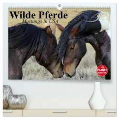 Wilde Pferde. Mustangs in USA (hochwertiger Premium Wandkalender 2025 DIN A2 quer), Kunstdruck in Hochglanz - Calvendo;Stanzer, Elisabeth