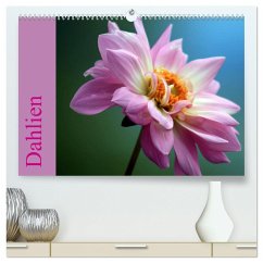 Dahlien (hochwertiger Premium Wandkalender 2025 DIN A2 quer), Kunstdruck in Hochglanz