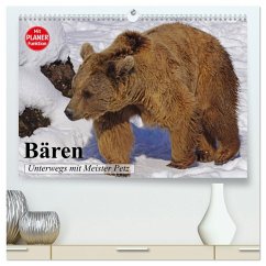 Bären. Unterwegs mit Meister Petz (hochwertiger Premium Wandkalender 2025 DIN A2 quer), Kunstdruck in Hochglanz - Calvendo;Stanzer, Elisabeth