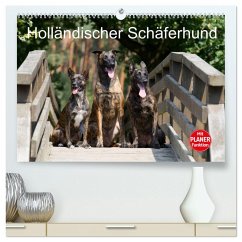 Holländischer Schäferhund (hochwertiger Premium Wandkalender 2025 DIN A2 quer), Kunstdruck in Hochglanz