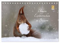 Unsere Eichhörnchen in Bayern (Tischkalender 2025 DIN A5 quer), CALVENDO Monatskalender - Calvendo;Cerny, Birgit