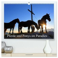 Pferde und Ponys im Paradies (hochwertiger Premium Wandkalender 2025 DIN A2 quer), Kunstdruck in Hochglanz